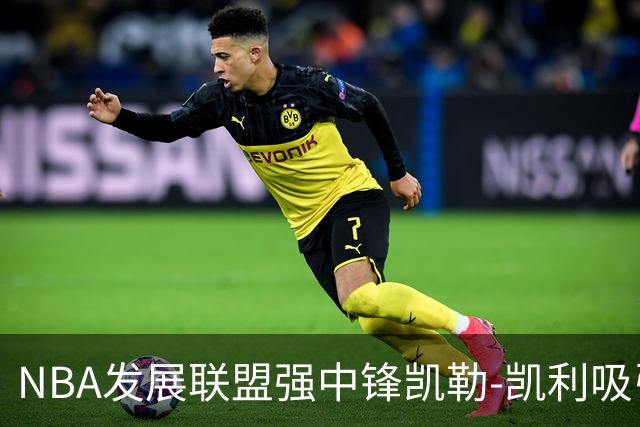 NBA发展联盟强中锋凯勒-凯利吸引广东队关注，或加入助阵亚帅